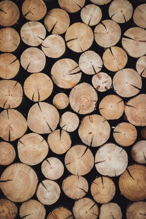 Le bois - une source de chaleur économique et renouvelable